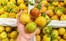 Hương vị của hồng táo tươi có gì đặc biệt mà khiến nhiều người tiêu dùng ‘đam mê’ đến vậy?