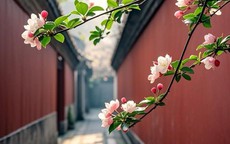 Ngày sinh Âm lịch của người có cuộc sống thuận lợi, dễ gặp người nâng đỡ