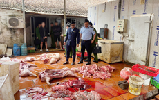 Hưng Yên: Điều tra vụ gần 1 tấn thịt lợn nhiễm dịch tả châu Phi, lợn bệnh 'suýt' đưa ra thị trường