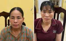 Hà Nội: Hai đối tượng dùng sổ đỏ, đăng ký xe ô tô giả để vay mượn tài sản