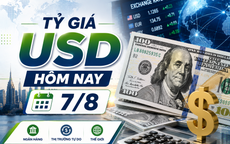 Tỷ giá USD hôm nay 7/8: Tỷ giá trung tâm tại Ngân hàng Nhà tiếp tục lập đỉnh