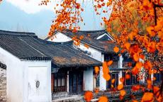 Ngày sinh Âm lịch của người sinh ra đã có 'chìa khóa tài lộc' trong tay
