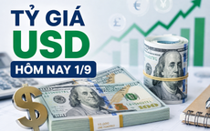 Tỷ giá USD hôm nay 1/9