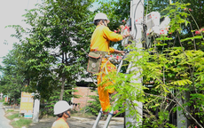 Lịch cúp điện Tây Ninh (Long An cũ) từ ngày 1 – 6/9/2026: Khu dân cư nằm trong diện cúp điện xếp hàng dài