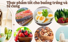 Ăn gì tốt cho buồng trứng và tử cung? Top thực phẩm 'vàng' phụ nữ nên biết
