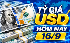 Tỷ giá USD hôm nay 16/9: Đồng Đô la Mỹ tự do bán ra ở vùng 26.028 đồng/USD