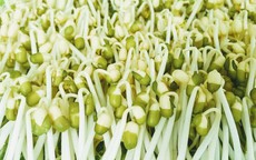 Loại rau bình dân dễ làm, ăn vào tốt cho sức khỏe, đặc biệt ngăn ngừa đột quỵ và bệnh tim mạch