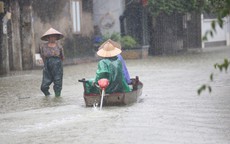 Sông Tích tràn bờ, dân ven đô Hà Nội chèo thuyền mua mì tôm, chăng lưới chắn rác trước nhà