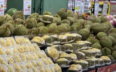Tiểu thương chỉ cách phân biệt sầu riêng Ri6, Thái Monthong, Musang King và Black Thorn