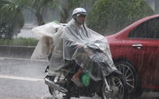 Những tỉnh thành này là tâm điểm mưa lớn trong ngày hôm nay