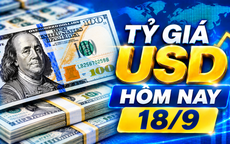 Tỷ giá USD hôm nay 18/9: Đồng Đô la Mỹ lại biến động nhẹ