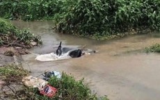 Hà Nội: Xuyên đêm tìm kiếm nam sinh viên năm nhất nghi bị nước cuốn xuống cống mất tích