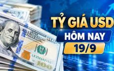 Tỷ giá USD hôm nay 19/9: Đồng Đô la Mỹ 'chợ đen' chững giá