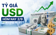 Tỷ giá USD hôm nay 2/9: Đồng Đô la Mỹ ‘chợ đen’ bán ra 26.031 đồng/USD