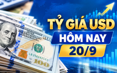 Tỷ giá USD hôm nay 20/9: Đồng Đô la Mỹ đi ngang cả ngân hàng và chợ đen