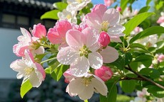 Số cuối ngày sinh Âm lịch của người sở hữu trí tuệ và ý chí đáng nể