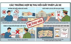 4 trường hợp bị thu hồi giấy phép lái xe, hàng triệu người cần chú ý