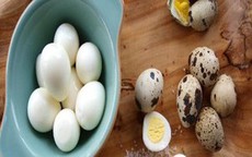Mẹo luộc trứng cút ngon ngọt, không bị vỡ, dễ bóc vỏ không phải ai cũng biết