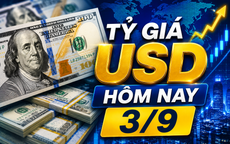 Tỷ giá USD hôm nay 3/9: Đồng Đô la Mỹ khối ngân hàng đảo chiều tăng