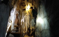 Phát hiện hang động nguyên sơ giữa rừng nguyên sinh ở Nghệ An