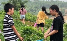 Tổng Chủ biên chương trình giáo dục trải nghiệm: Không bắt buộc đưa học sinh đi xa trải nghiệm