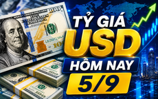 Tỷ giá USD hôm nay 5/9: Đồng Đô la Mỹ 'chợ đen' tiếp tục đi ngang