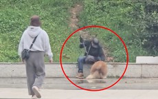 Người đánh chó Alaska ở quảng trường Đà Lạt bị phạt 2 triệu đồng