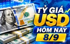 Tỷ giá USD hôm nay 8/9: Đồng Đô la Mỹ 'chợ đen' tăng bật