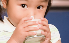 Lại lo với sữa nhiễm độc