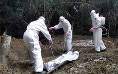 Ebola: Nhiều gia đình che giấu “tử thần” trong nhà