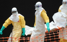 Khử trùng cả máy bay vì nghi hành khách đột tử do nhiễm Ebola