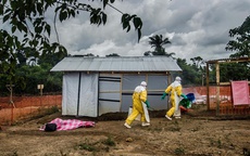 Lại thêm một quốc gia có người nhiễm Ebola