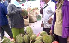 Sầu riêng "dính" chất gây ung thư bán đầy lề đường