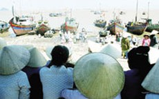 Chuyện ảnh: Ngư Lộc chiều về