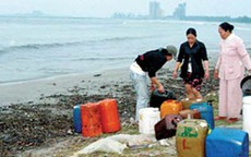 Vụ tràn dầu ở Đà Nẵng: Chưa có kết quả cụ thể thiệt hại về sinh thái