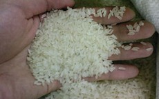 Xuất 16.350 tấn gạo cứu đói giáp hạt và Tết