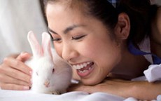 Cánh diều Vàng 2009: Phim truyền hình “đè bẹp” phim nhựa?