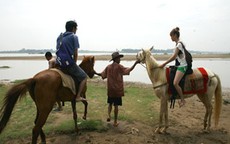 Chuyện ảnh: Giới trẻ Hà thành rủ nhau đi cưỡi ngựa
