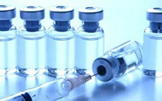 Điều chế vắcxin phòng bệnh đậu mùa, bệnh than