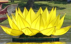 Bảy đóa sen vàng khổng lồ trên sông Hương