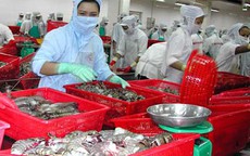 Cục An toàn thực phẩm vào cuộc vụ “Thủy sản Hà Nội nhiễm kim loại nặng”