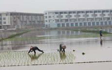 Dự thảo Luật Đất đai sửa đổi: Sẽ sửa đổi thủ tục cưỡng chế thu hồi đất