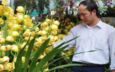 TP Hồ Chí Minh: Hoa lan, cây cảnh... chờ khách 