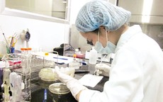 Nghề y - Nghề nguy hiểm (2): Những “ẩn sĩ” trong phòng thí nghiệm vaccine