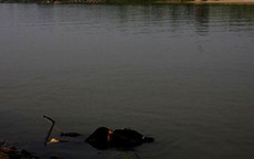 Xác chết được phát hiện trên sông Hồng không phải vụ Cát Tường