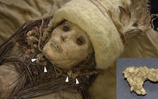 Phát hiện miếng pho mát 3.600 năm tuổi trên xác ướp cổ đại