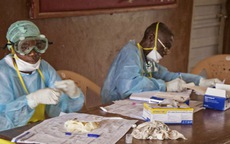 Thuốc thử nghiệm trị Ebola hết sạch ngay tuần đầu tiên