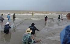 Ngư dân Đà Nẵng mạo hiểm bắt cá giữa mưa bão Haiyan