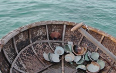 Khai quật khẩn cấp di sản văn hóa dưới biển