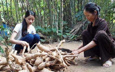 Nữ sinh nghèo giành học bổng tiến sỹ Toán học tại Ý